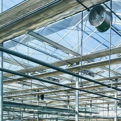 Sistema hidropónico de invernadero de vidrio de doble capa con integración de tecnología de múltiples tramos