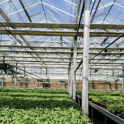Sistema hidropónico de invernadero de vidrio de doble capa con integración de tecnología de múltiples tramos