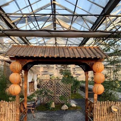 Sistema hidropónico de vegetales de invernadero de vidrio moderno multi-españo para el mercado multi-españo