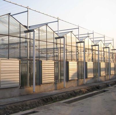 Sistema de pantalla de sombreado para el cultivo de árboles vegetales Invernadero con estructura de acero
