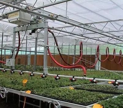 Sistema de pantalla de sombreado para el cultivo de árboles vegetales Invernadero con estructura de acero