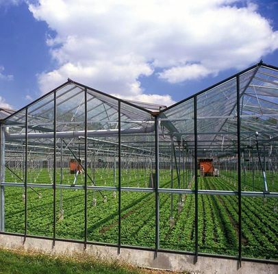 Sistema de pantalla de sombreado para el cultivo de árboles vegetales Invernadero con estructura de acero