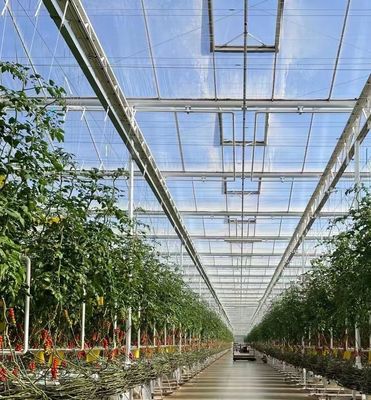 Sistema de pantalla de sombreado para el cultivo de árboles vegetales Invernadero con estructura de acero