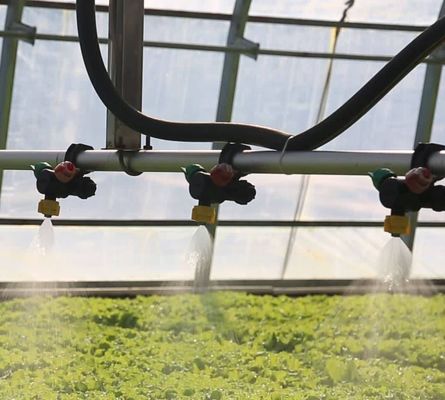 Sistema de pantalla de sombreado para el cultivo de árboles vegetales Invernadero con estructura de acero