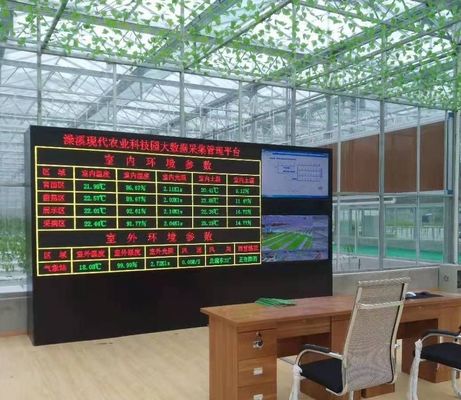 Sistema de cultivo hidropónico en invernadero comercial para la producción de hortalizas