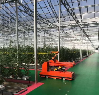 Sistema de cultivo hidropónico en invernadero comercial para la producción de hortalizas
