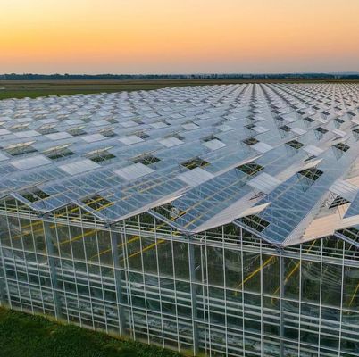 Sistema de cultivo hidropónico en invernadero comercial para la producción de hortalizas