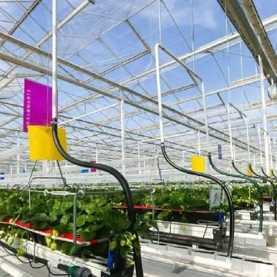Sistema hidropónico de techo para vegetales de invernadero de vidrio