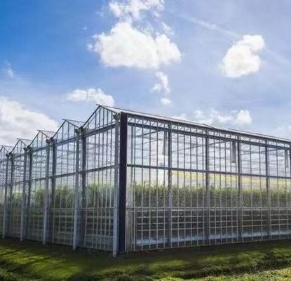 Estructura de acero Sistema de cultivo hidropónico Venlo para el cultivo hidropónico de vegetales