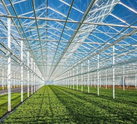 Estructura de acero Sistema de cultivo hidropónico Venlo para el cultivo hidropónico de vegetales