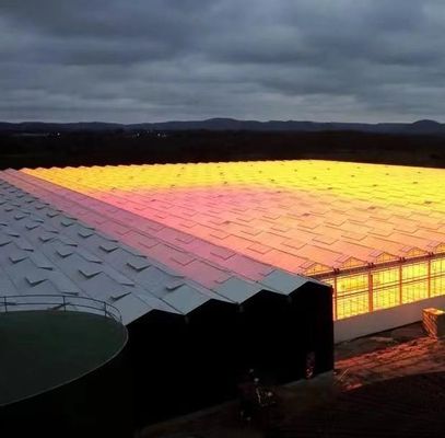 Estructura de acero Sistema de cultivo hidropónico Venlo para el cultivo hidropónico de vegetales