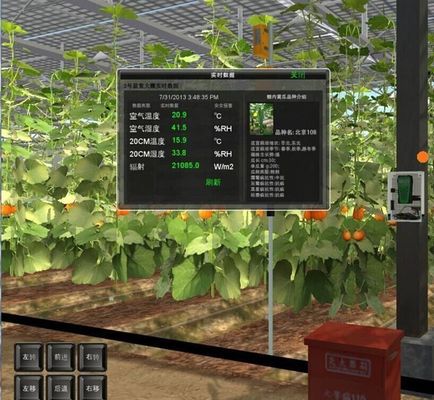 Estructura de acero Sistema de cultivo hidropónico Venlo para el cultivo hidropónico de vegetales