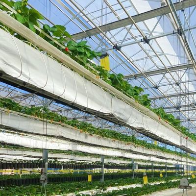 Sistema de cultivo hidropónico Invernadero de vidrio para techos de doble capa en forma de techo tipo