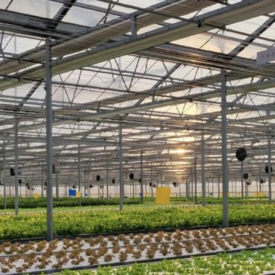 Sistema de cultivo hidropónico Invernadero de vidrio para techos de doble capa en forma de techo tipo