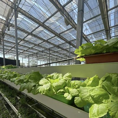 Sistema de cultivo hidropónico Invernadero de vidrio para techos de doble capa en forma de techo tipo