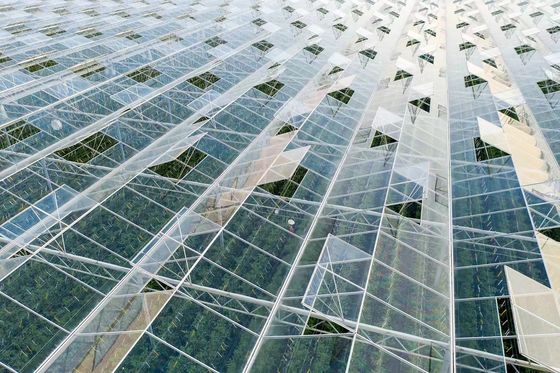 80.000kg Paquete Peso bruto Invernadero de vidrio con hidroponía y coste de envío