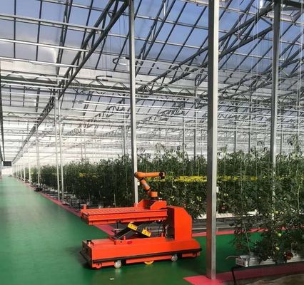 Invernadero de plantación de verduras de doble capa con riego por goteo y estructura de acero