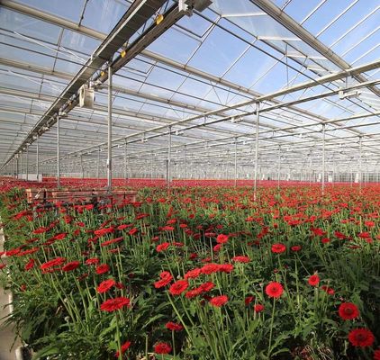 Invernadero de plantación de verduras de doble capa con riego por goteo y estructura de acero