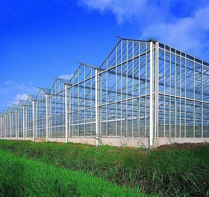 Invernadero de plantación de verduras de doble capa con riego por goteo y estructura de acero