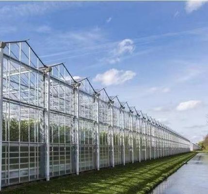 Invernadero de plantación de verduras de doble capa con riego por goteo y estructura de acero