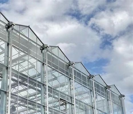 Tipo de sistema de cultivo hidropónico de techo adecuado para los requisitos de su cliente