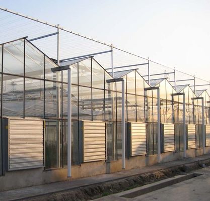 Tipo de sistema de cultivo hidropónico de techo adecuado para los requisitos de su cliente