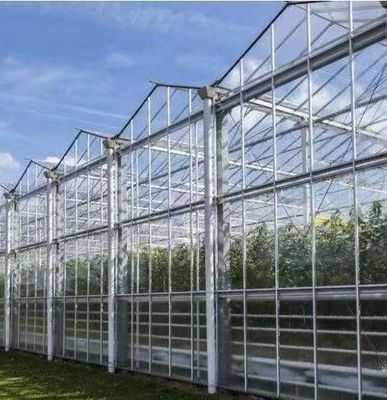 Tipo de sistema de cultivo hidropónico de techo adecuado para los requisitos de su cliente