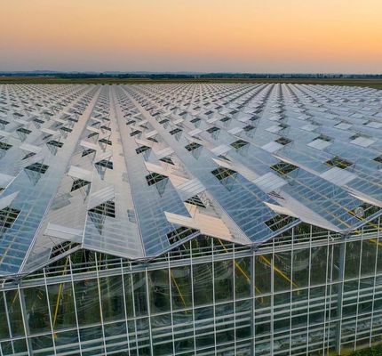Tipo de sistema de cultivo hidropónico de techo adecuado para los requisitos de su cliente
