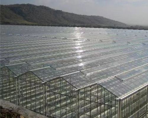Buena transmisión de luz de vidrio de cubierta de invernadero Venlo con opción de personalización