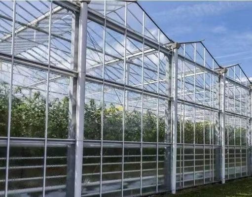 Buena transmisión de luz de vidrio de cubierta de invernadero Venlo con opción de personalización