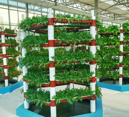 Entorno controlado para semillas/hortalizas/frutas/flores Invernadero hidropónico para semillas