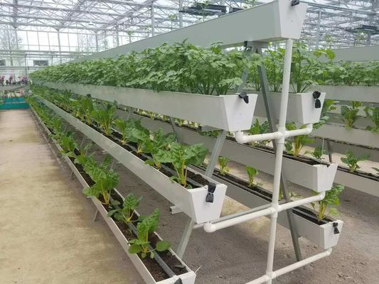 Entorno controlado para semillas/hortalizas/frutas/flores Invernadero hidropónico para semillas