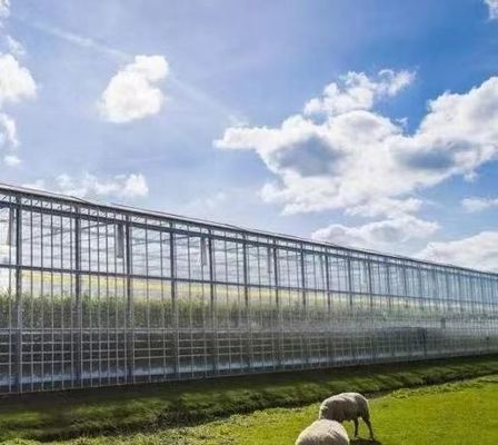 Entorno controlado para semillas/hortalizas/frutas/flores Invernadero hidropónico para semillas