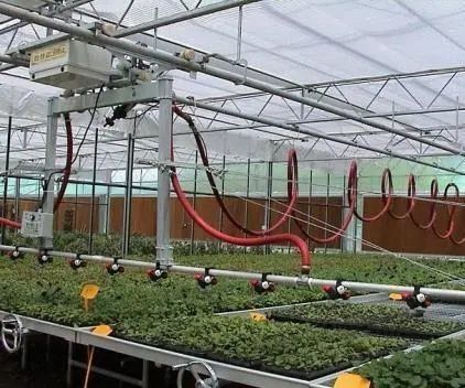 Entorno controlado para semillas/hortalizas/frutas/flores Invernadero hidropónico para semillas