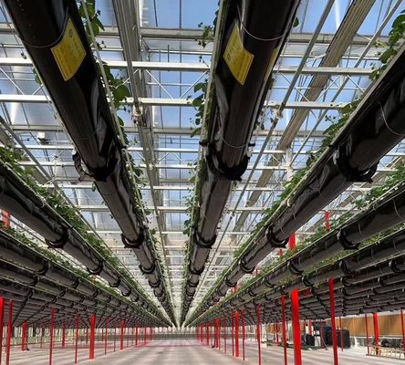 Estructura de semilla hidropónica antigoteo y niebla perfecta para los requisitos del cliente