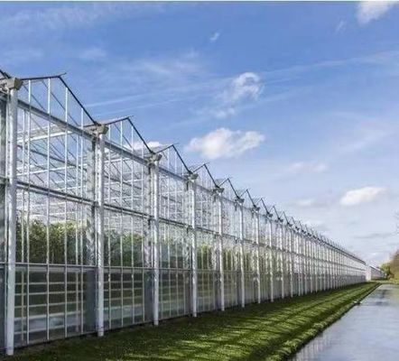 Estructura de semilla hidropónica antigoteo y niebla perfecta para los requisitos del cliente