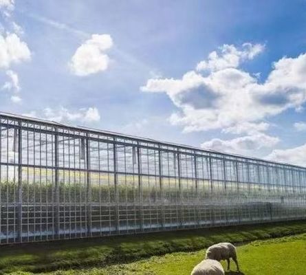 Estructura de semilla hidropónica antigoteo y niebla perfecta para los requisitos del cliente