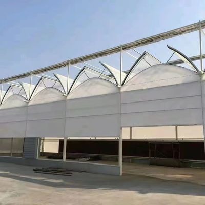 Método de cultivo Hidroponía invernadero de vidrio regulado de EE.UU. para hortalizas/flores/frutas