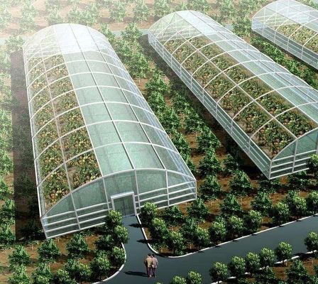 Método de cultivo Hidroponía invernadero de vidrio regulado de EE.UU. para hortalizas/flores/frutas