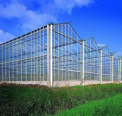 Método de cultivo Hidroponía invernadero de vidrio regulado de EE.UU. para hortalizas/flores/frutas