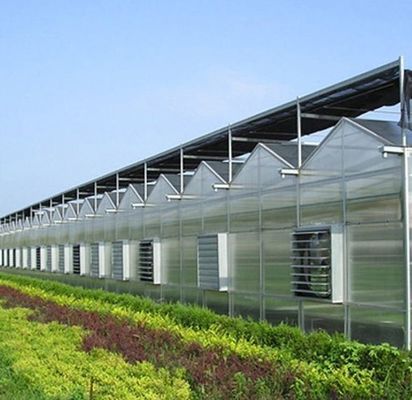 Método de cultivo Hidroponía invernadero de vidrio regulado de EE.UU. para hortalizas/flores/frutas