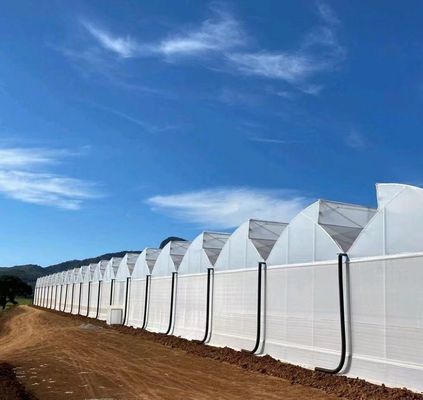 Sistema de siembra hidropónica para la agricultura con techo de doble capa de película de plástico de estilo Venlo