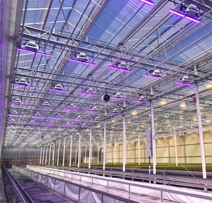 Sistema de siembra hidropónica para la agricultura con techo de doble capa de película de plástico de estilo Venlo