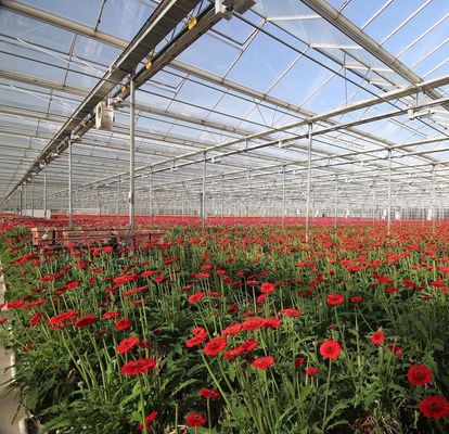 Sistema de siembra hidropónica para la agricultura con techo de doble capa de película de plástico de estilo Venlo