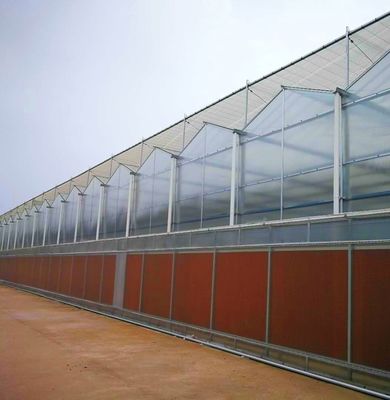 Sistema de siembra hidropónica para la agricultura con techo de doble capa de película de plástico de estilo Venlo