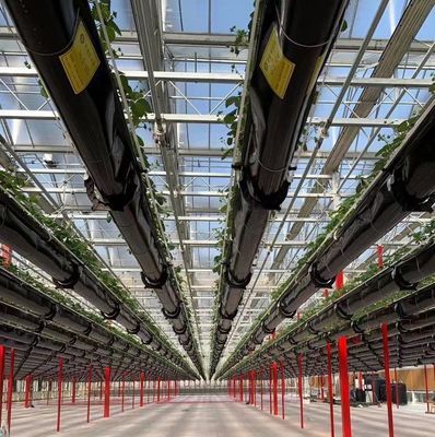 Sistema de siembra hidropónica para la agricultura con techo de doble capa de película de plástico de estilo Venlo