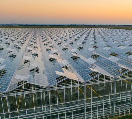 Sistema de siembra hidropónica para la agricultura con techo de doble capa de película de plástico de estilo Venlo